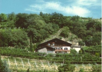 mieszkanie letniskowe Appartementhaus & Weingut Linter, Dorf Tirol bei Meran, Meran Trentino-Südtirol Wlochy