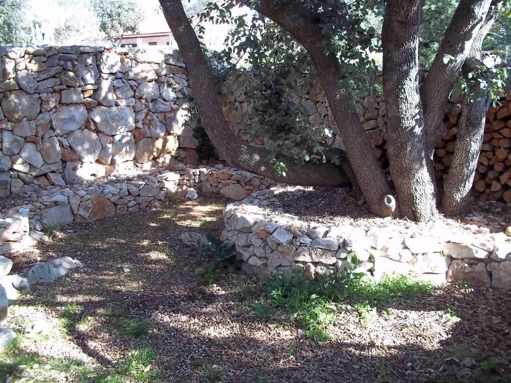 Eine wunderschoene Ecke unten alten Olivenbäumen
