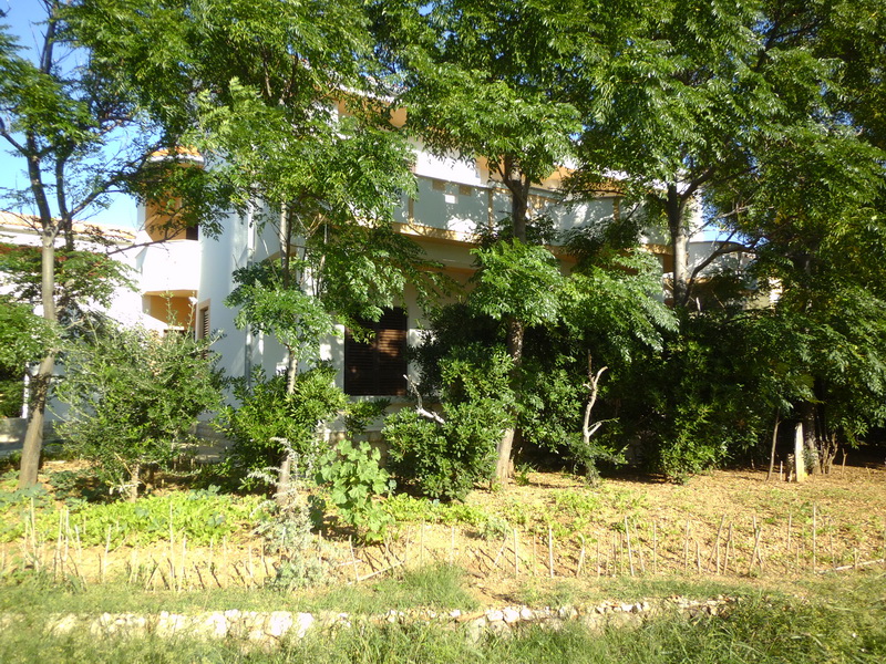 prázdninový  byt Das Haus in einer sonnigen Lage mit einem Garten in der grünen und Schatten,100 M vom Sandstrand, Pag, Insel Pag Norddalmatien Chorvátsko
