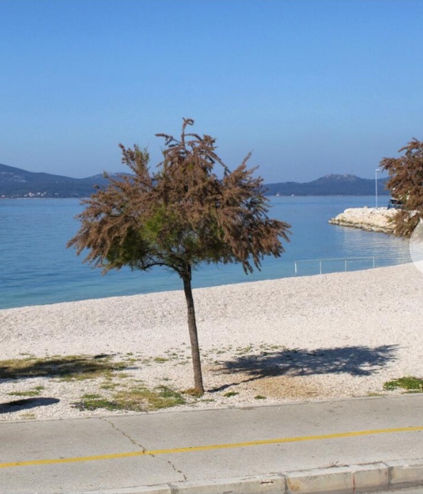 Ferienwohnung apartman okruzen jedinstvenim arboretumom in Zadar, Norddalmatien Zadar  