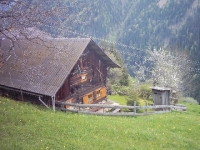 Hütte  in Teuchl im Mölltal, Kärnten Oberkärnten  