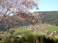 Ferienwohnung  in Baiersbronn-Röt, Baden-Württemberg Schwarzwald  