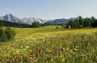 Apartman za odmor Landhaus Charlotte Seefeld in Tirol, Tirol Tiroler Oberland  