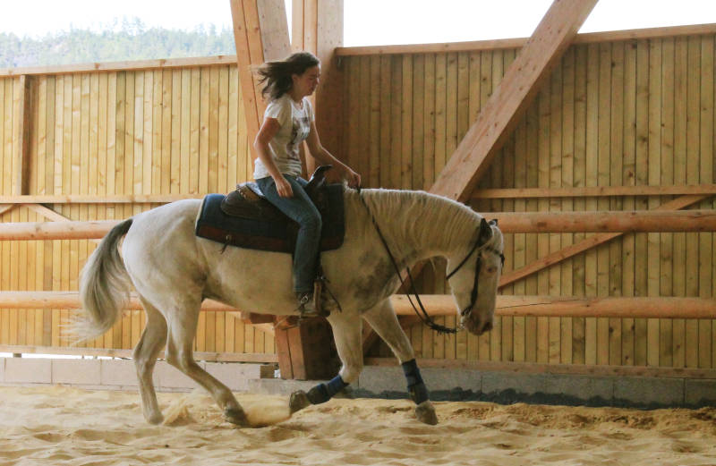 Ferienwohnung auf Pony/Pferdehof in La Motte du Caire, Provence-Alpes-Côte d Azur Alpes de Hautes Provence  