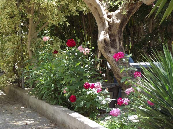 Apartman za odmor Ritas Kreta Ferienwohnung  - für die ganze Familie Chania-Gavalochori / Kreta, Kreta Chania  