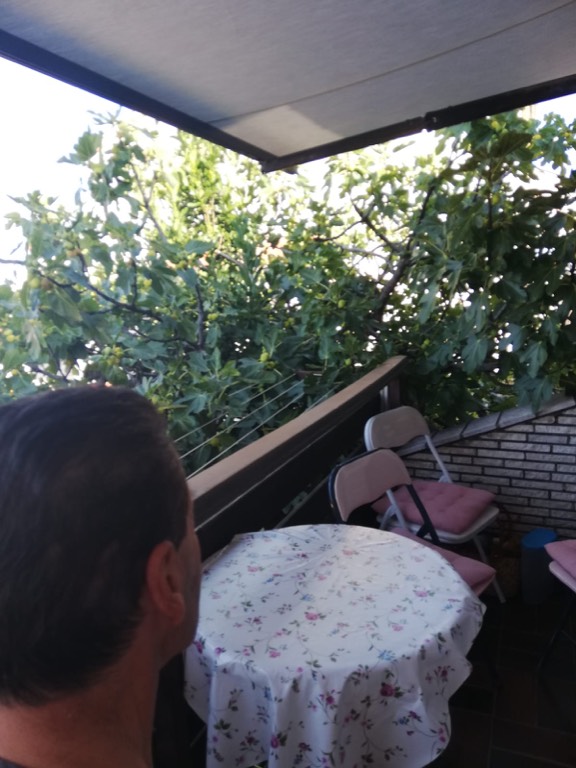 Balkon mit Blick auf den Feigenbaum
