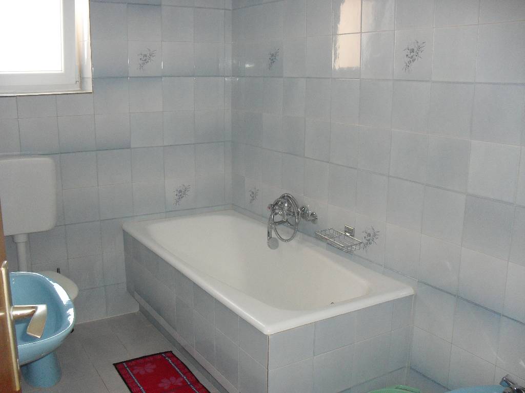 Dies sind die Kaktus vor dem App (2) und App (3)