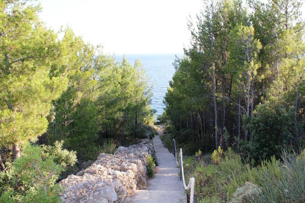 Private road to the sea and beach