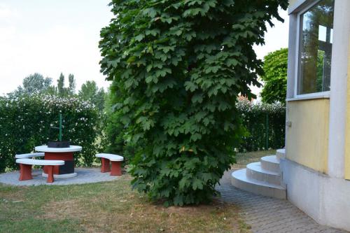 Ferienwohnung FEWO mit Garten für 4 Pers.(BO-51) in Balatonboglár, Plattensee-Balaton Balaton-Südufer  